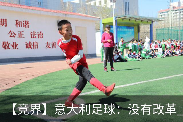 【竞界】意大利足球：没有改革 只有新的补锅匠