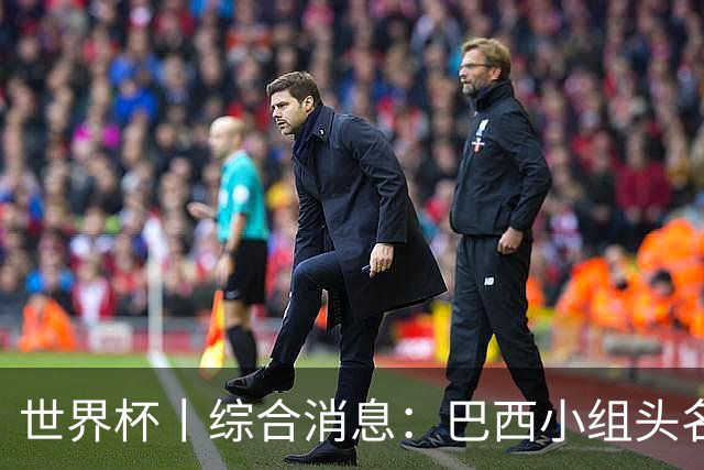 世界杯丨综合消息：巴西小组头名晋级 南非创造球队历史