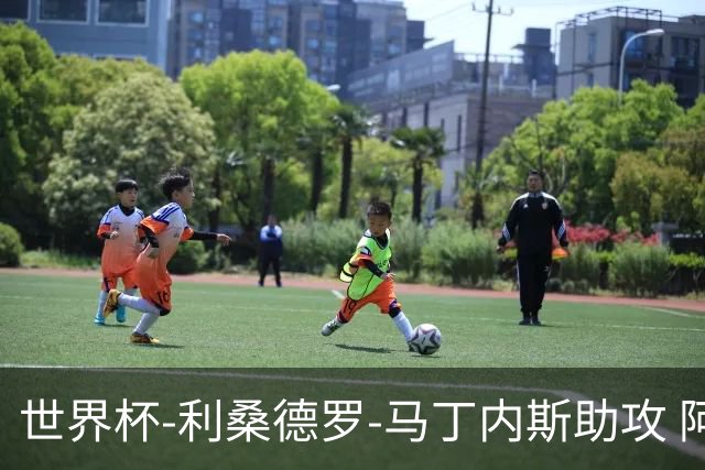世界杯-利桑德罗-马丁内斯助攻 阿根廷半场暂1-0佛得角