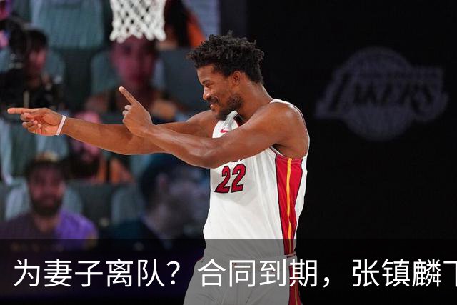 为妻子离队？合同到期，张镇麟下家4选1，广东2队有机会
