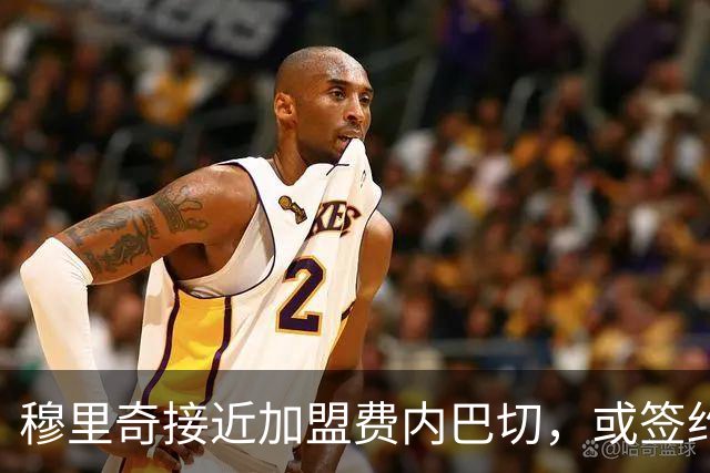 穆里奇接近加盟费内巴切，或签约至2029年
