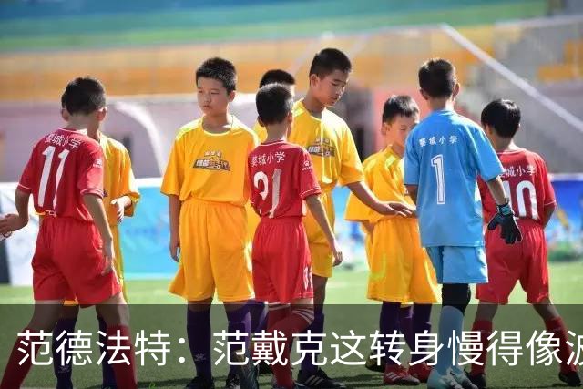 范德法特：范戴克这转身慢得像波音747，这可不是什么好事