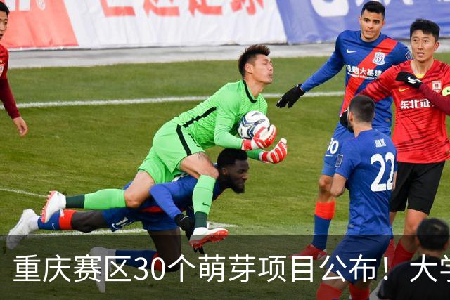 重庆赛区30个萌芽项目公布！大学生创新大赛进入新阶段